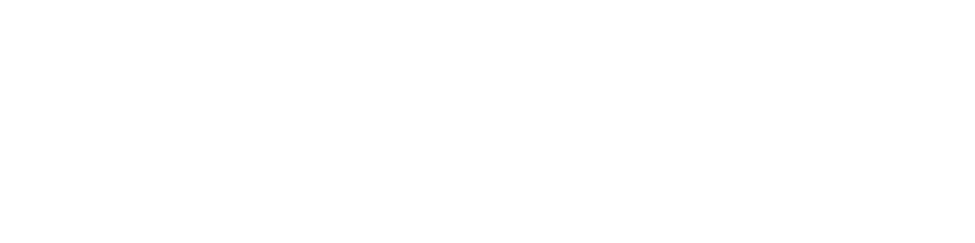 Experian